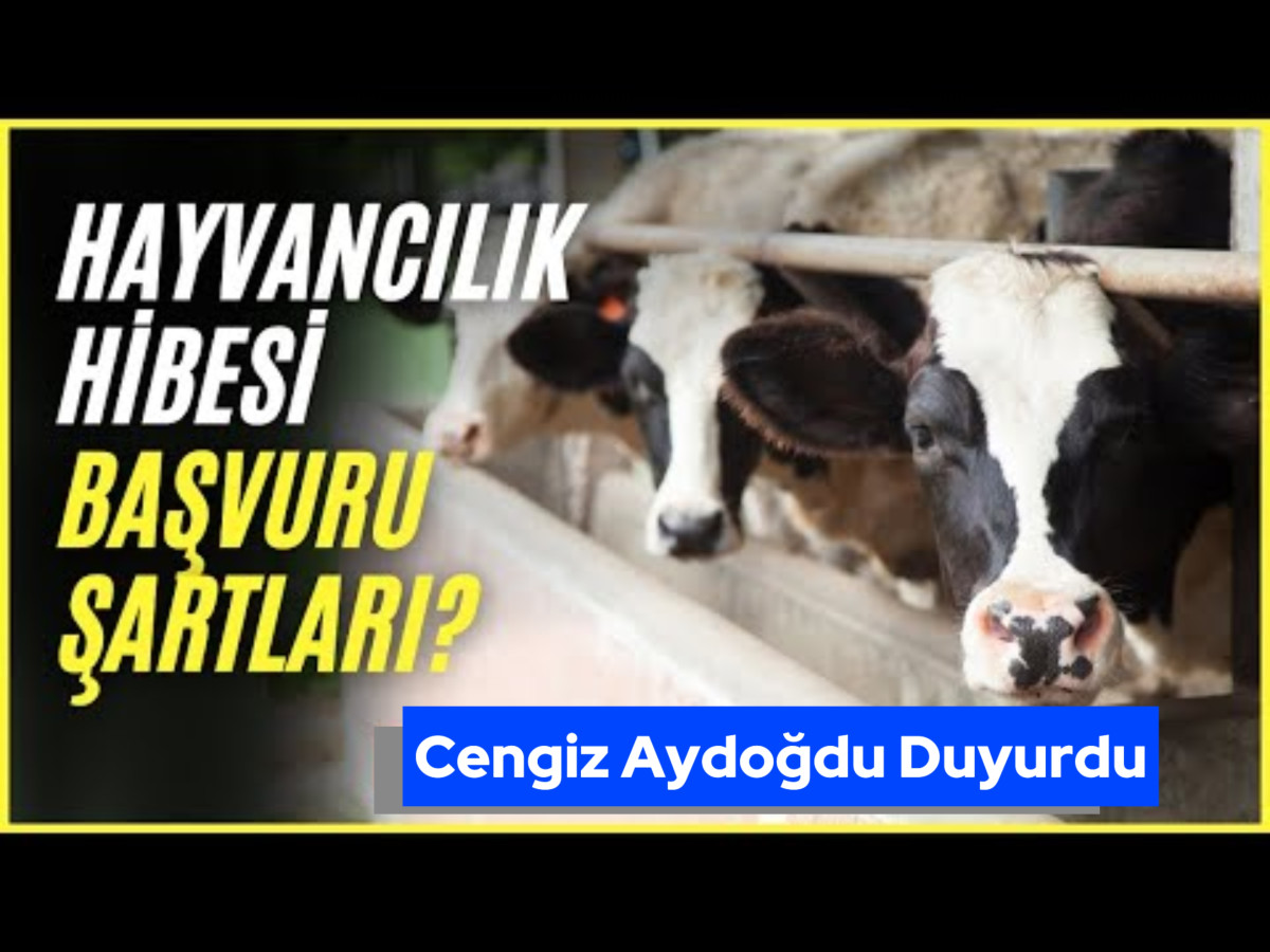 Yeni Kırsal Hayvancılık Destek Projesi Açıklandı